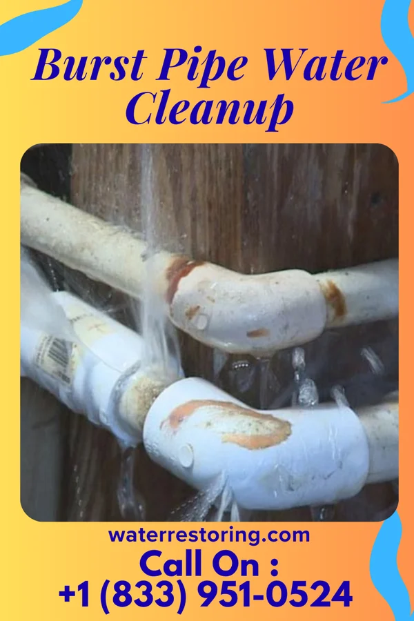 Burst Pipe Water Cleanup in Belville, NC