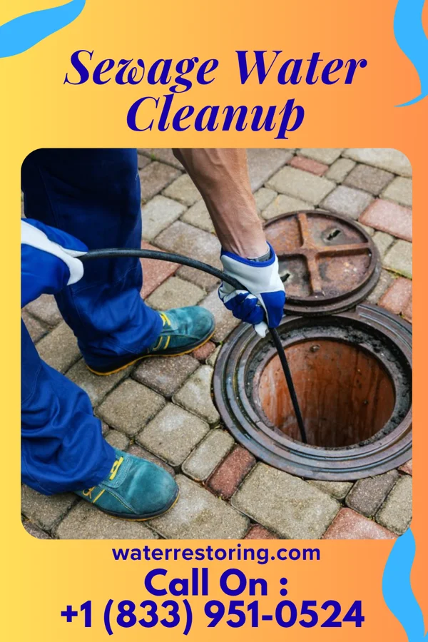 Sewage Water Cleanup in Belville, NC